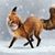 Cori Bulger's profile image