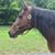 Becky Kincaid's profile image