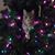 Candice Odziana Barnes's profile image