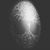 Eric Bracken's profile image