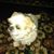 Kathleen Hains's profile image