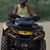 Dave Stoy's profile image