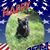 Barbara Sequeira's profile image