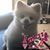 Jessica Lynne Richards's profile image