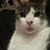 Dale Swansey's profile image