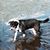 Sandy Stewart's profile image