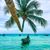 Gina Calabrase's profile image