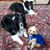Amy Becke's profile image