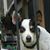 Michelle Lowery's profile image