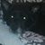 Fred Kirwin's profile image