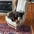 Linda Flindt's profile image
