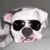 Liese Aeschlimann's profile image
