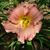 Mary Ann's profile image