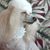 Brenda Bryan's profile image