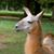 Bill Boxx's profile image