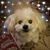 Kelly Hazen's profile image
