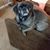 Vivian Bradish's profile image