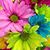 Kathy DeMonte Thurman's profile image