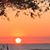 Tina Morrill's profile image