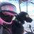 Jenilee Johnson's profile image