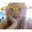 :Danielle Strle's profile image