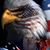 Eric Glave's profile image