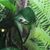 Melinda Burtenhouse's profile image