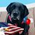 Jennifer Rapsky Brace's profile image