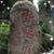 Ken Luu's profile image