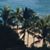 Nanci Watt Howard's profile image
