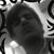 Mehdi Jabbari's profile image