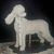 Ellen DeVrieze's profile image