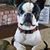 Harley Leedy's profile image