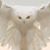 Anna-Maria Smith's profile image