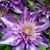 Crystal Glaze Pickerd's profile image