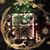 Judy Miller Blanton's profile image