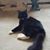 Madeline Morales Solis's profile image