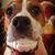 Renee VanRiper's profile image