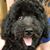 Christine Schwarz's profile image