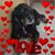 Marie Lucky Krzywicki's profile image