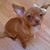 Sandy Mak's profile image