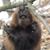 Kelly Olsen's profile image