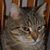 John Dergosits's profile image