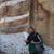Muhammed Nurdal's profile image