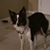 Nancy Penney Harris's profile image