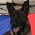 Sally Bazzell's profile image