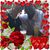 Jennifer Rose's profile image