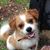 Ronni Gaynor Meltzer's profile image