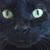 Dawn Valerie Hochmuth Mireles's profile image