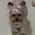 Gina Desrochers's profile image